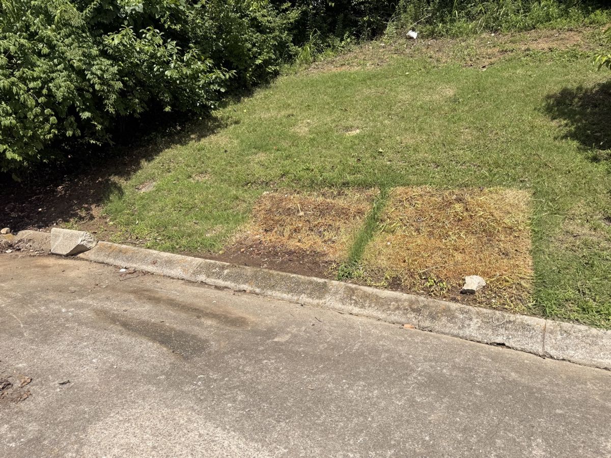 After: the same dumpster area hauled clean by Affordable Junk Removal in Middle Tennessee