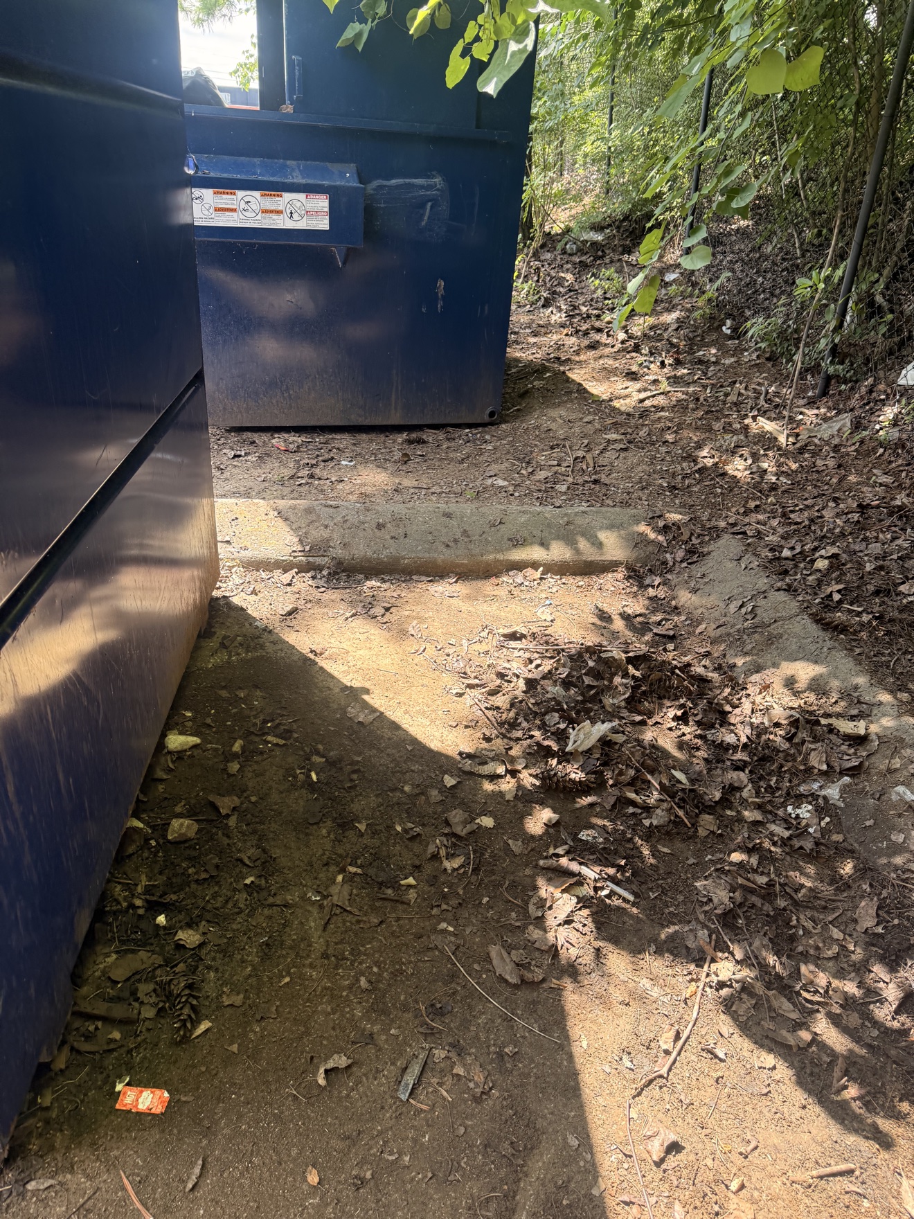 After: the dumping site cleared, ground left clean