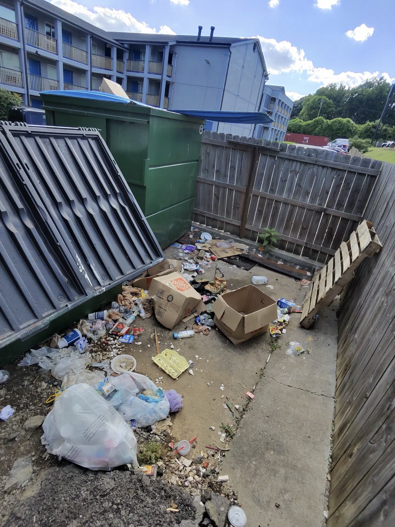 Before: trash, boxes, and loose debris scattered around apartment dumpsters